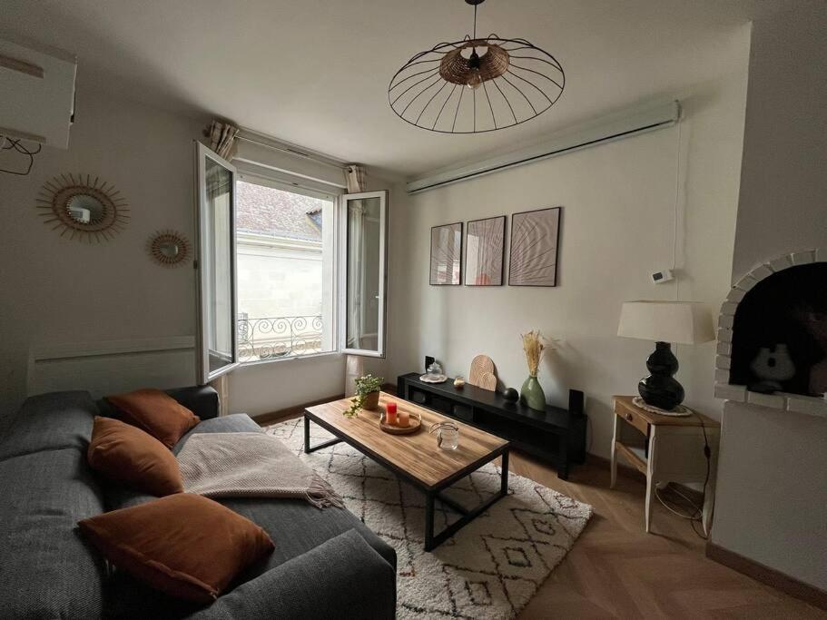 Apartment T3 Cinema - Centre Historique, Bord De Loire Tours