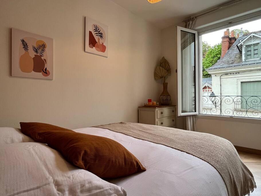 Apartment T3 Cinema - Centre Historique, Bord De Loire Tours